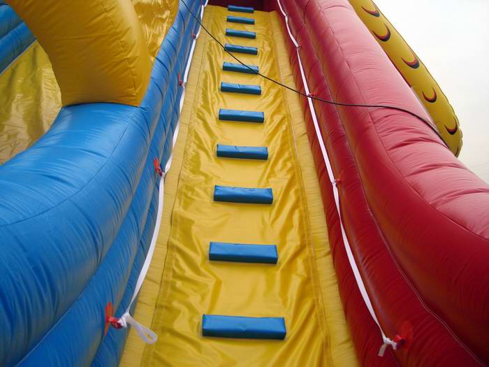 Rooster inflatable slide