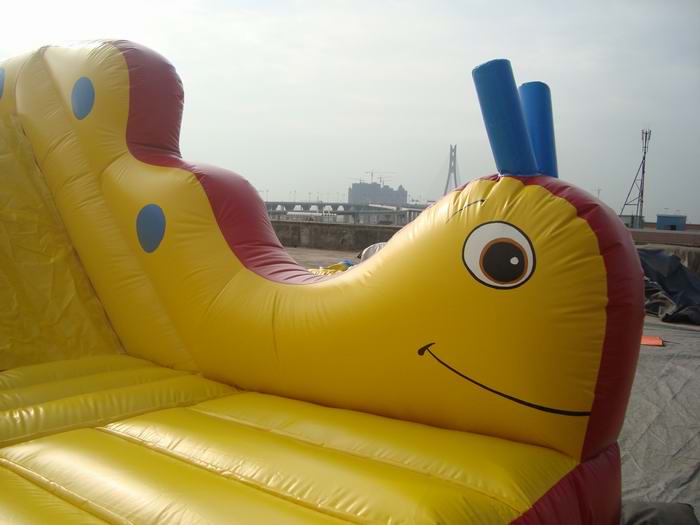wore slide inflatable