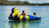 Air Floating inflatable Pool Water toys water bird