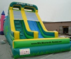 classic inflatable jungle slide